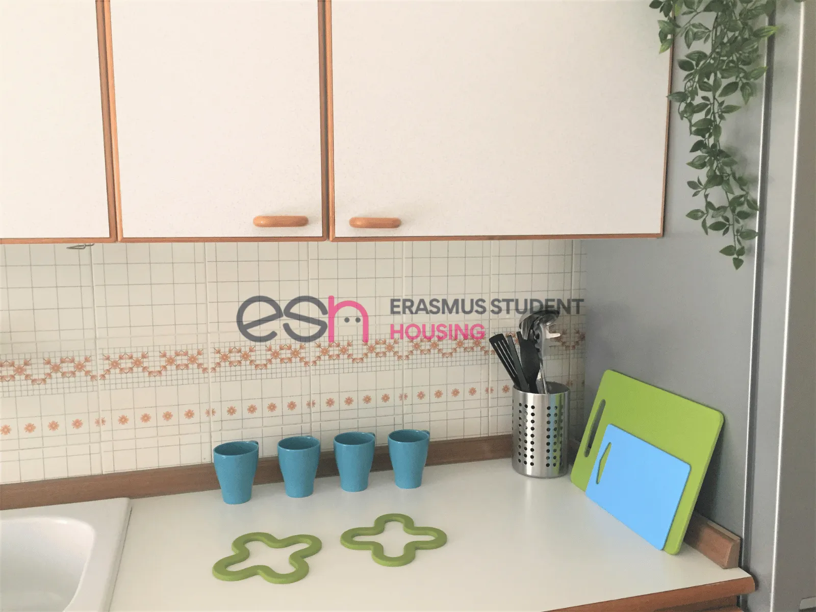 Cocina 5