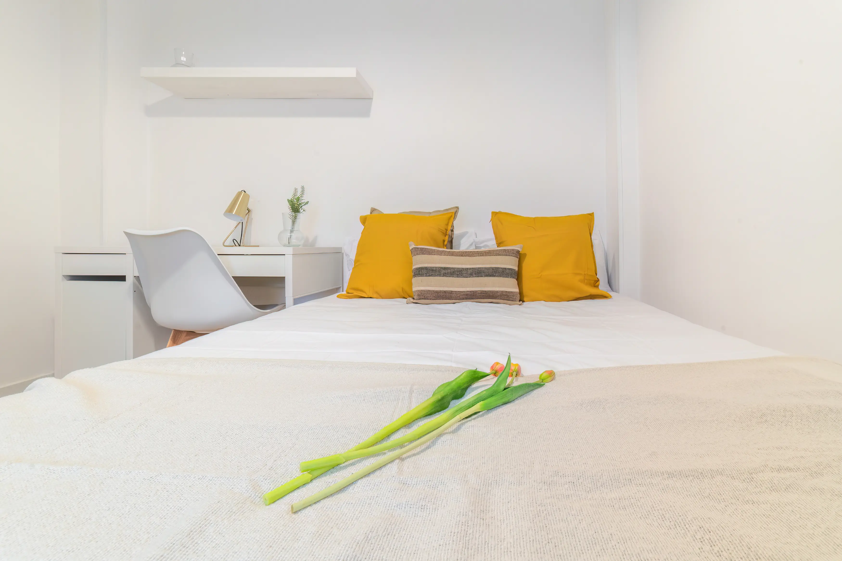Habitación privada en Madrid photo 2